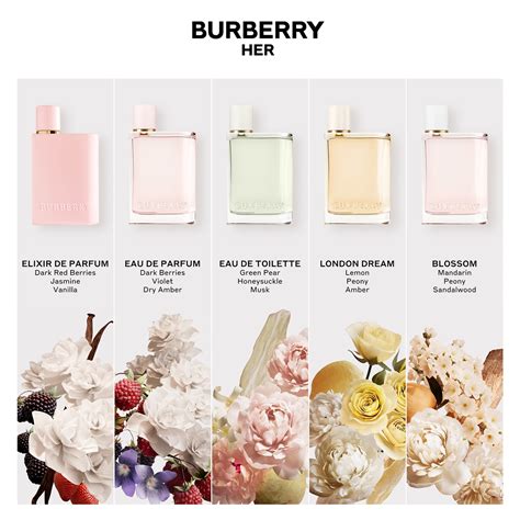 burberry her elixir vs eau de parfum|burberry her perfume notes.